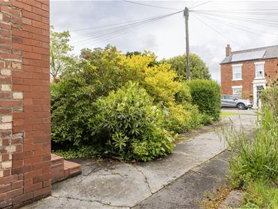 Picture 20